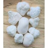 Magnesit-Knolle Wassersteine-Sonderqualit&auml;t /...