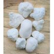 Magnesit-Knolle Wassersteine-Sonderqualität / Rohsteine extra angetrommelt - ca. 50 g (GKS)