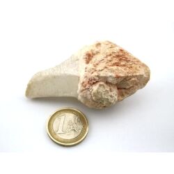 Bergkristall "Zepterquarz / Szepterquarz" Natur-Kristall - Rarität - ca. 7 cm x 3,7 cm x 3,1 cm