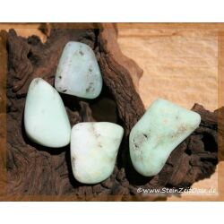 Chrysopras Wassersteine-Sonderqualität - Rarität - / Trommelsteine roh - ca. 100 g (GKS)