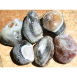 Achat grau-braun Wassersteine-Sonderqualit&auml;t /...