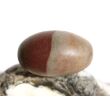 Shiva Lingam Ei (Sandstein/Tonstein) Trommelstein - Sonderqualität - ca. 2,9 cm x 1,8 cm (GKS)