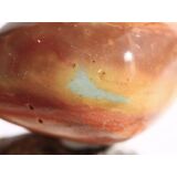 Polychrom-Jaspis (Polychromjaspis) XXL Trommelstein / Handschmeichler - Sonderqualit&auml;t - ca. 4,2 cm x 3,6 cm x 3,1 cm (GKS)