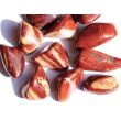 Schlangenhautjaspis (Jaspis rot) XL Trommelsteine - Sonderqualität - ca. 3,7 - 5 cm / ca. 20-24 g/St (Fairer Handel / GKS)